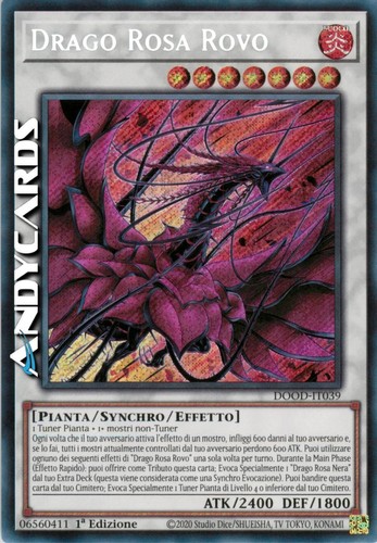 Drago rosa rovo bramble - •, (bramble