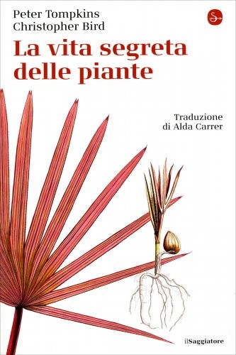 Libro vita segreta - segreta, delle